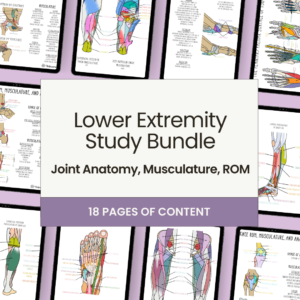 Lower Extremity Study Bundle