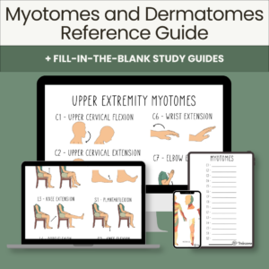Myotomes & Dermatomes Reference Guide