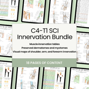 C4-T1 SCI Innervation Bundle