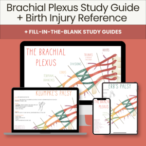 Brachial Plexus Study Guide + Birth Injury Reference