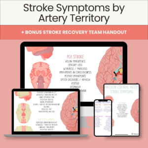 Stroke Symptoms by Artery Territory + Bonus Handout